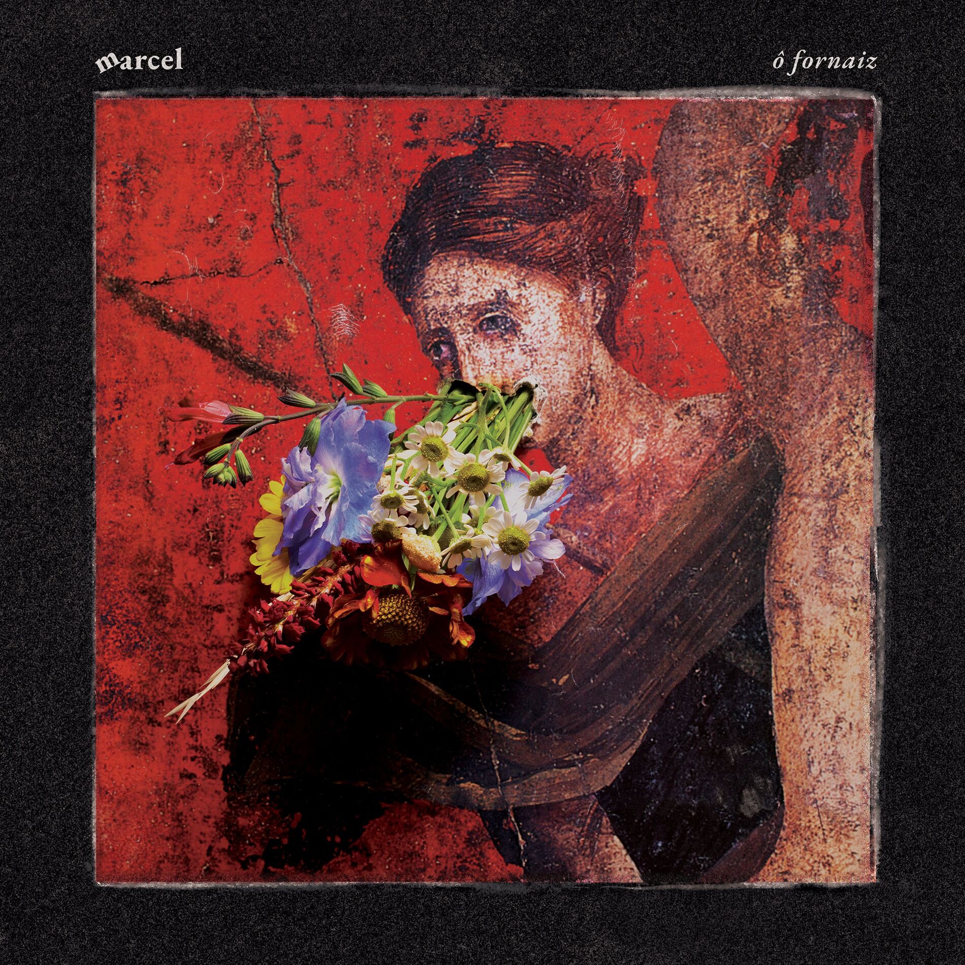 Album cover of basho basho basho