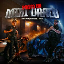 Cover of Porto un Mini Draco