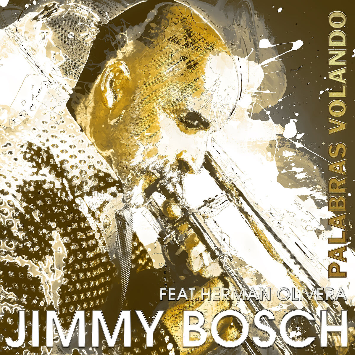 Album cover of Palabras Volando