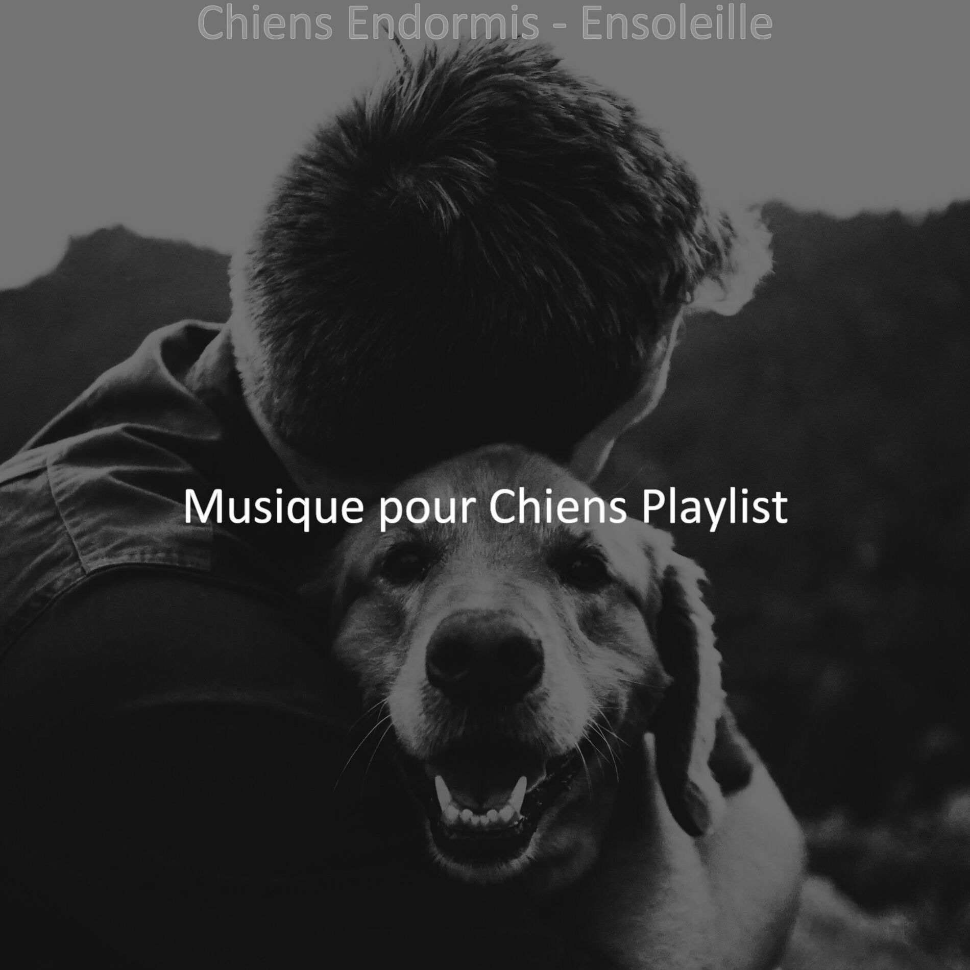 Album cover of Chiens Endormis - Ensoleille