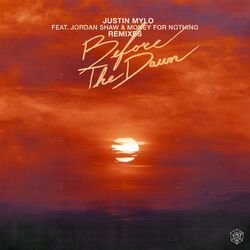 Cover of Before The Dawn (Remixes)