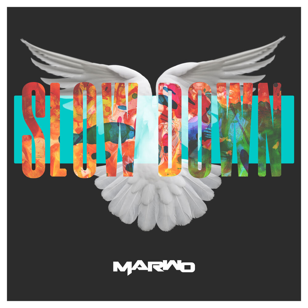 Picture of Slow Down