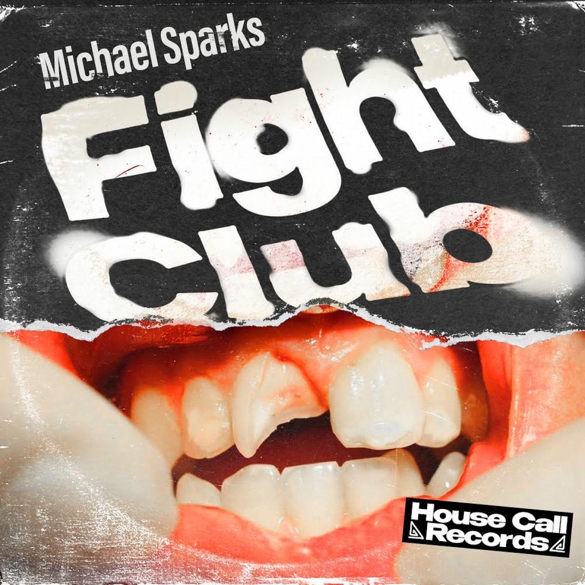 Album cover of Fight Club
