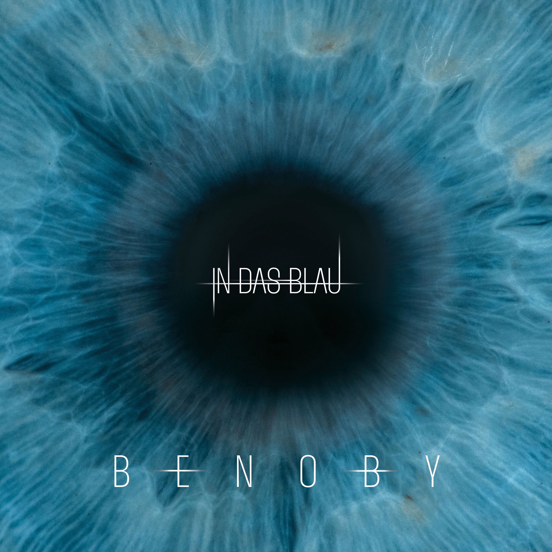 Album cover of In das Blau