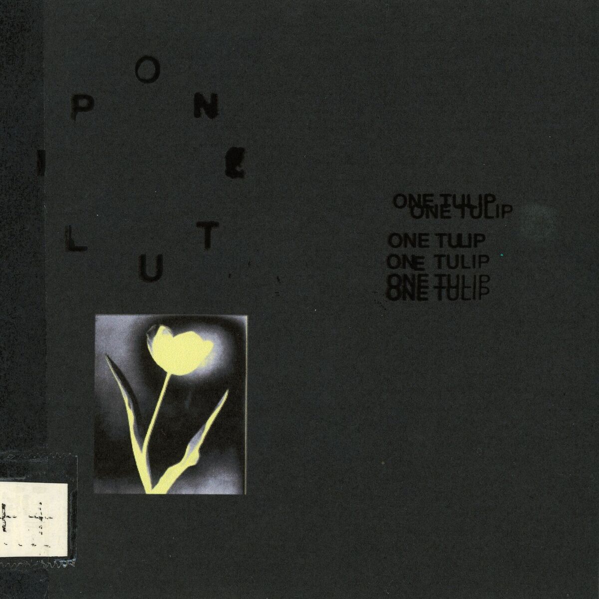 Album cover of ONE TULIP//