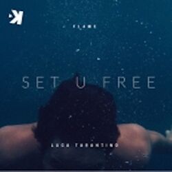 Cover of Set U Free