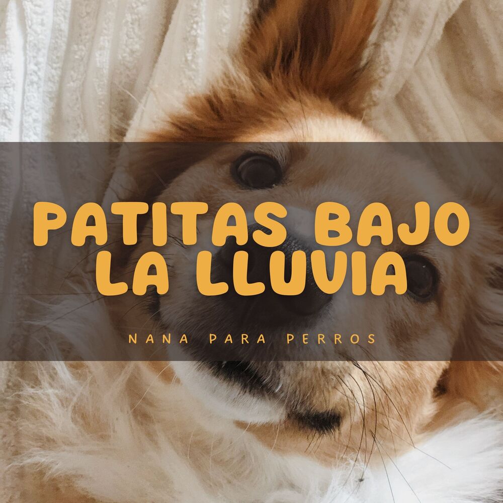 Picture of Patitas Bajo La Lluvia: Nana Para Perros