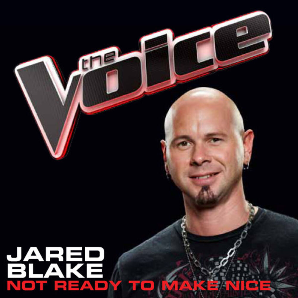 Picture of Not Ready To Make Nice (The Voice Performance)
