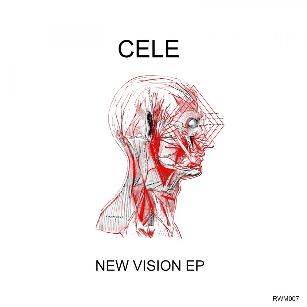 Picture of New Vision EP