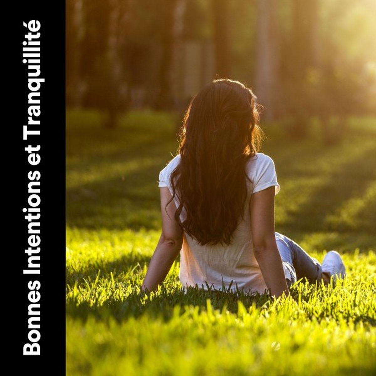 Album cover of Bonnes Intentions et Tranquillité