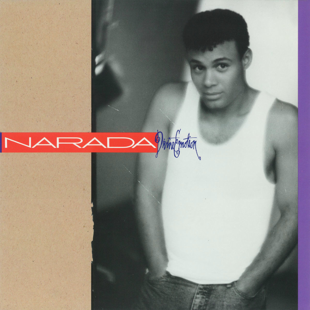 Album cover of Divine Emotions