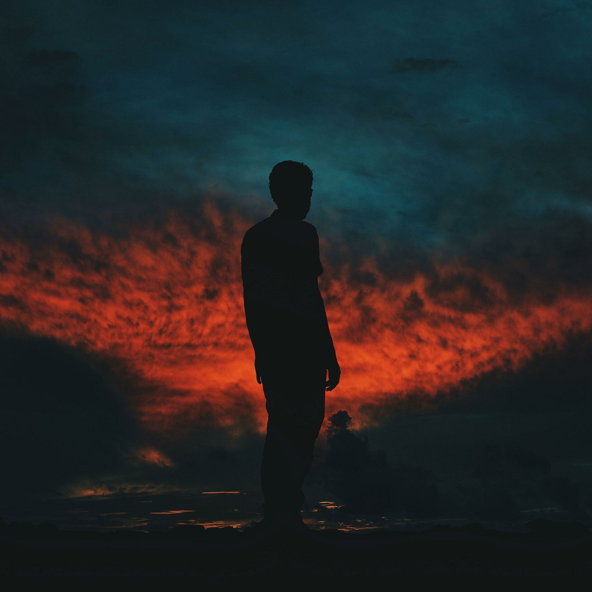 Album cover of Bring Me Back