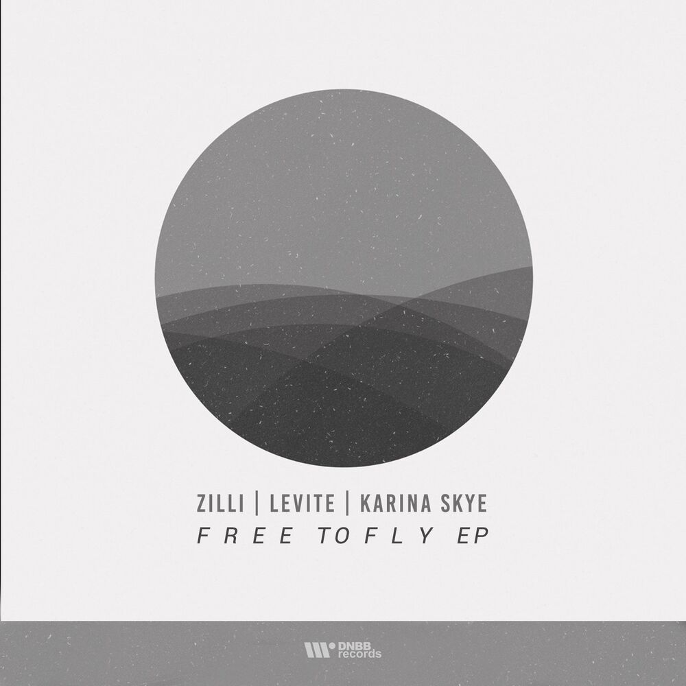 Picture of Free to Fly