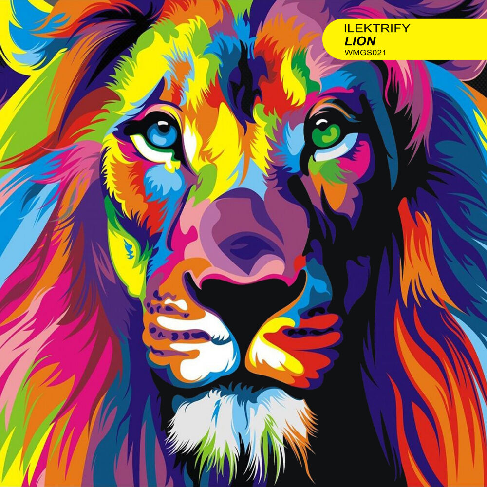 Picture of Lion