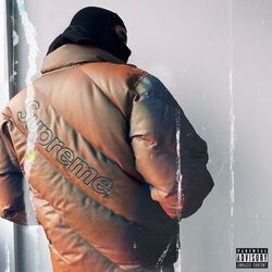 Cover of Praise To The Most High