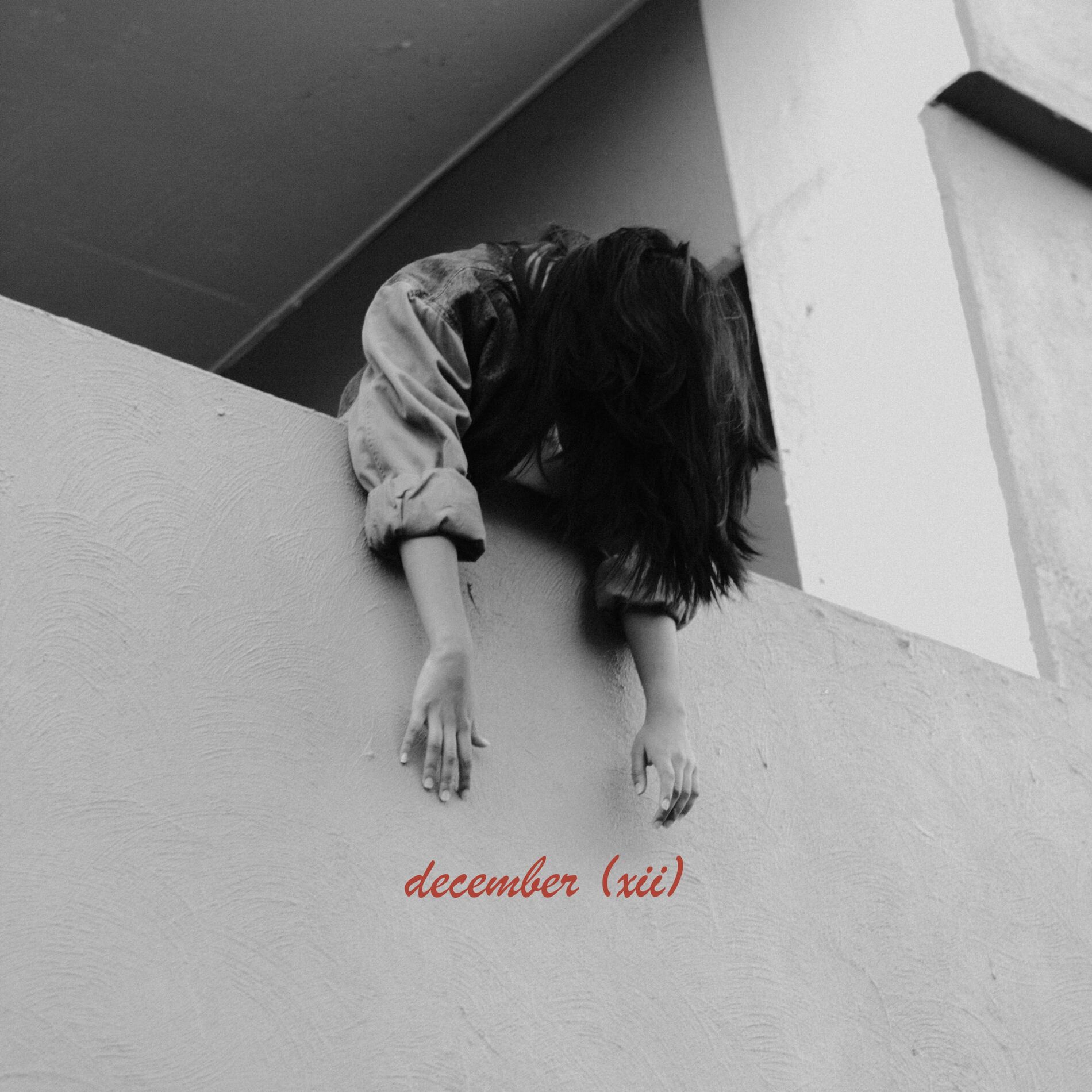 Album cover of december (xii)