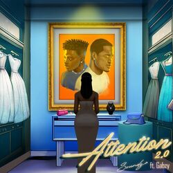 Cover of Attention 2.0