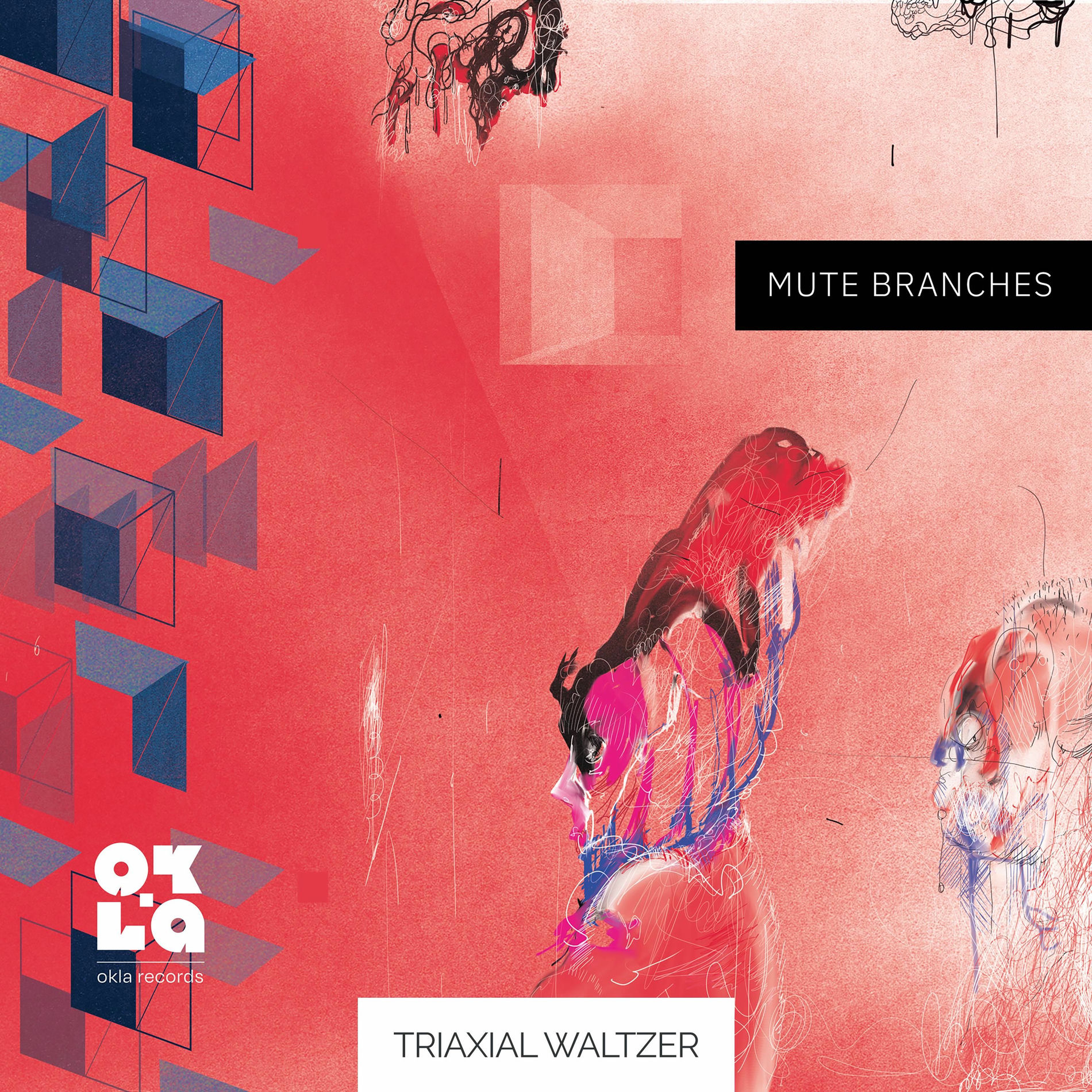 Album cover of Triaxial Waltzer