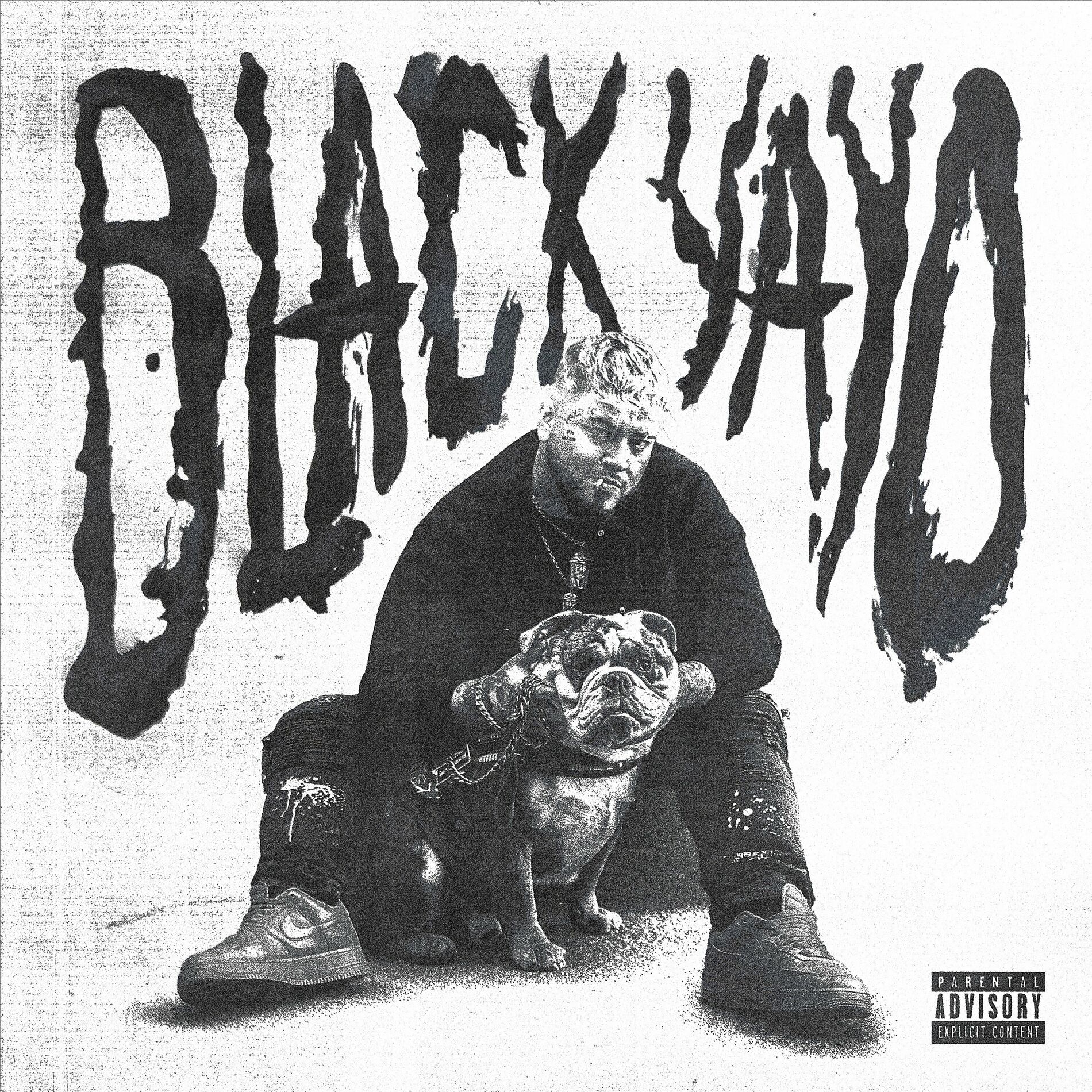 Album cover of BLACK YAYO VOL 1
