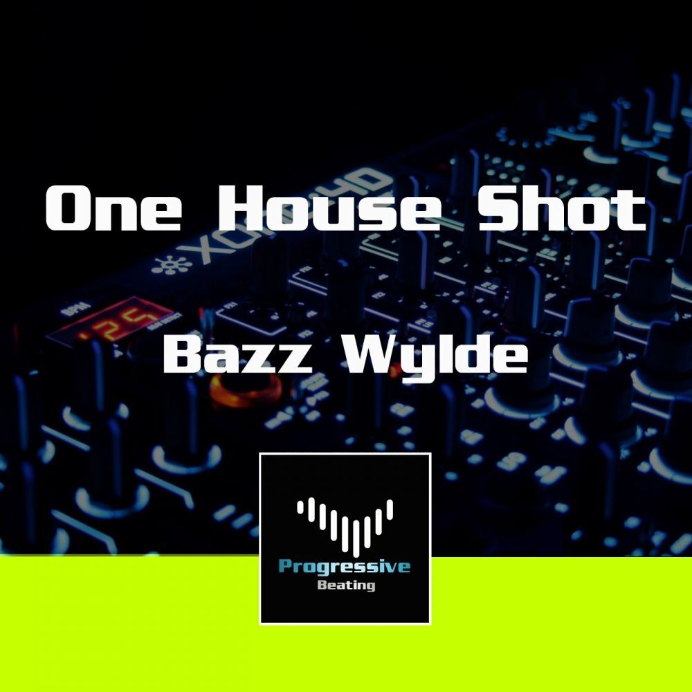 Picture of One House Shot