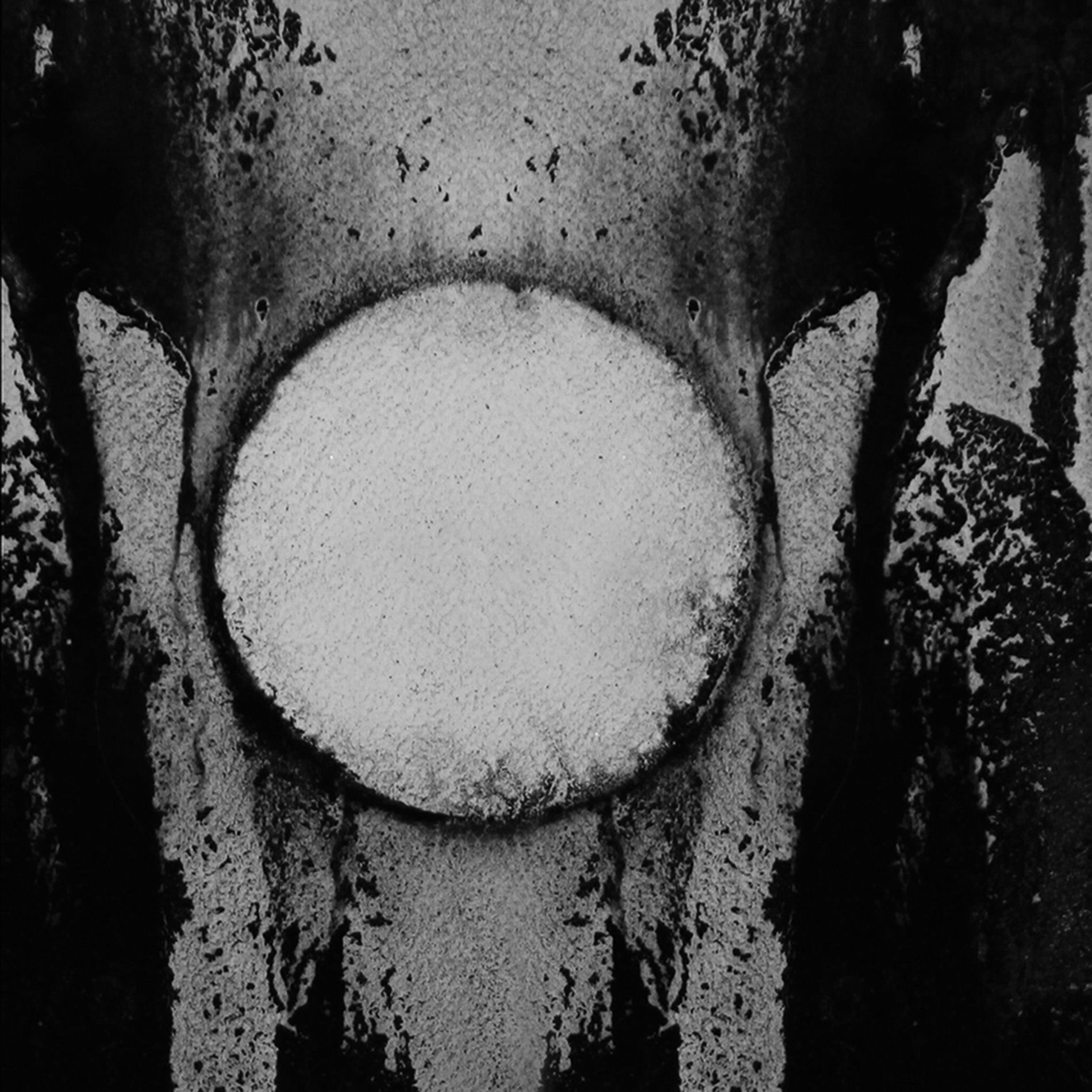 Album cover of Lie with Me