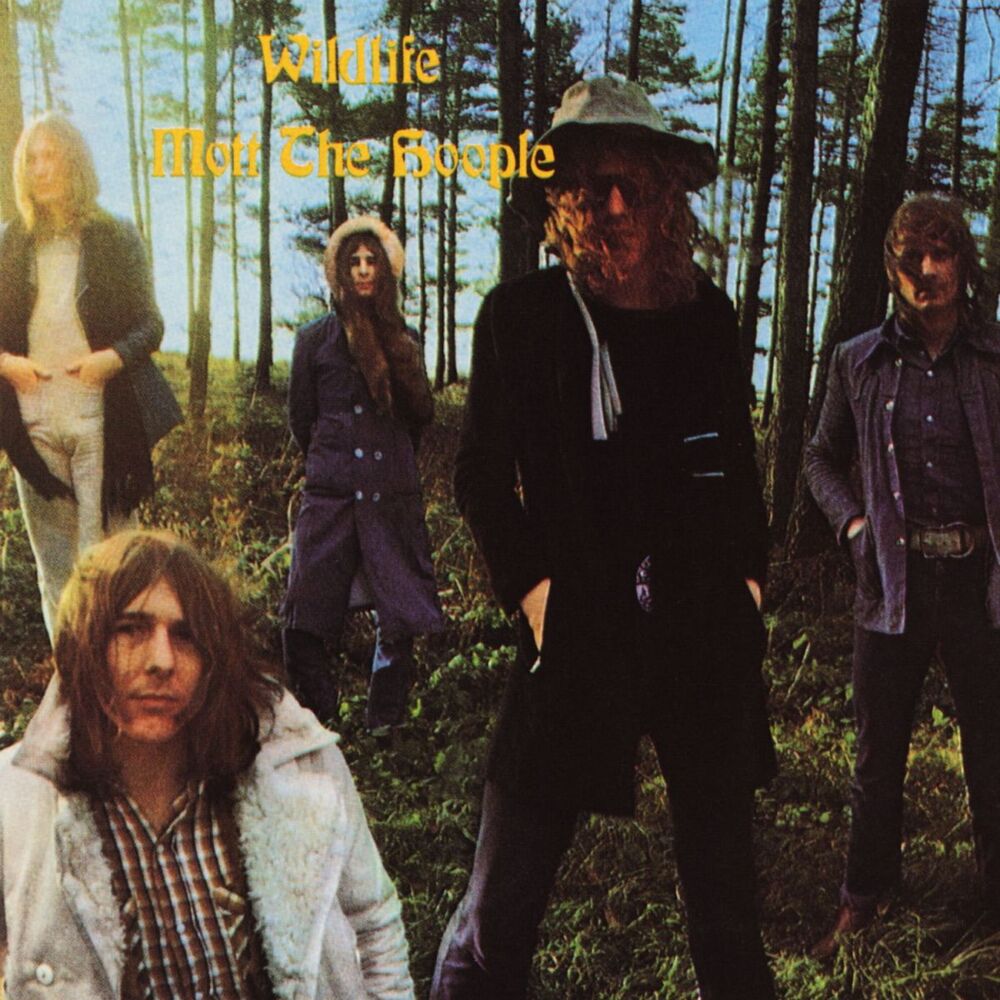 Picture of Wildlife (US Release)