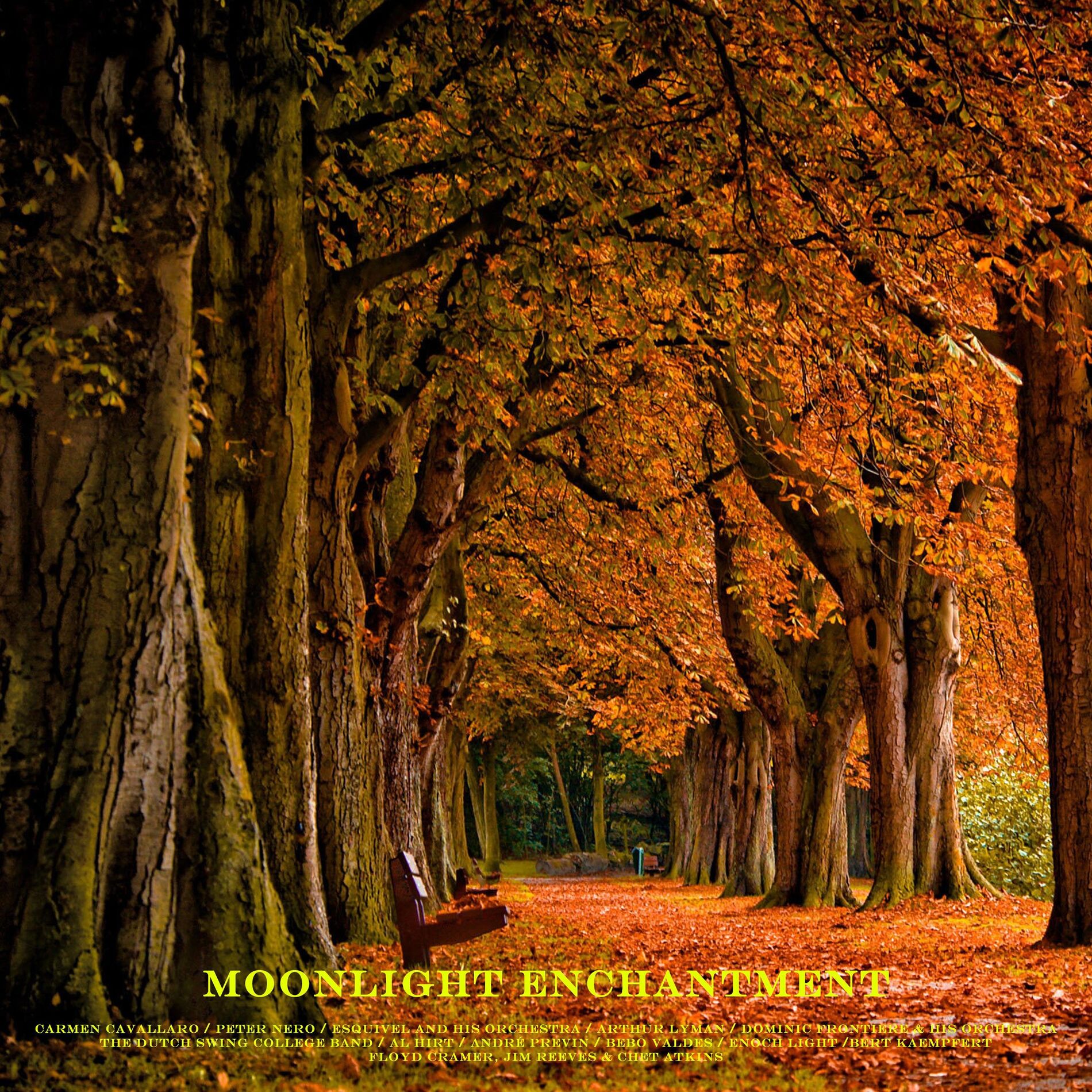 Album cover of Moonlight Enchantment