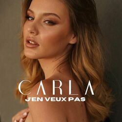 Cover of J'en veux pas