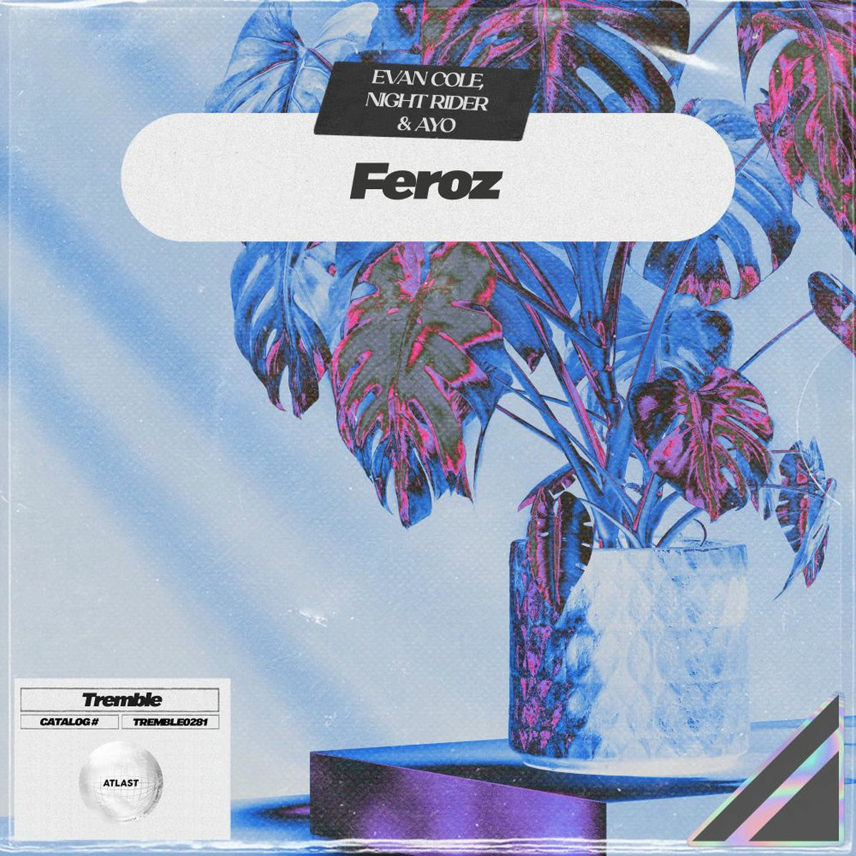 Album cover of Feroz