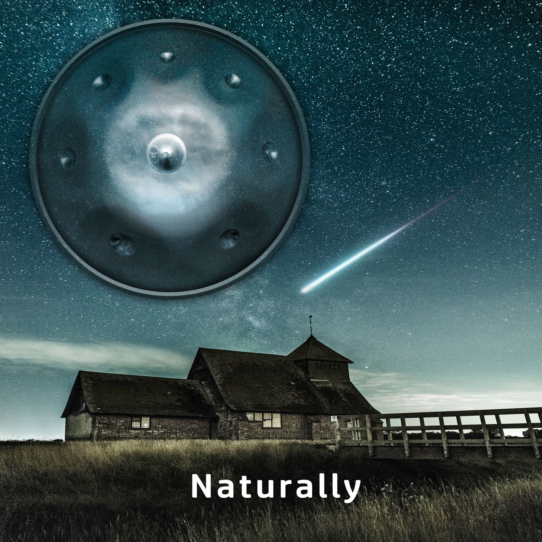 Album cover of Naturally