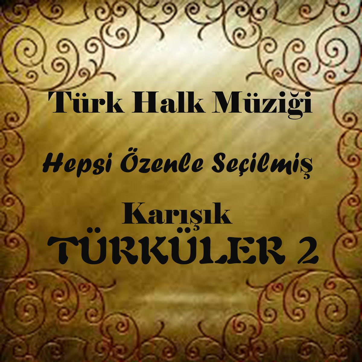 Album cover of Türk Halk Müziği Hepsi Özenle Seçilmiş Karışık Türküler, Vol.2