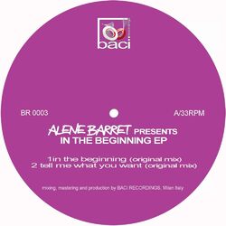 Cover of In the Beginning