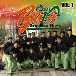Cover of VOL.1