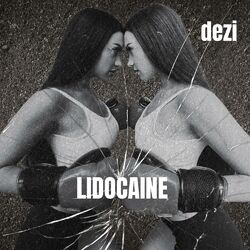 Cover of LIDOCAINE