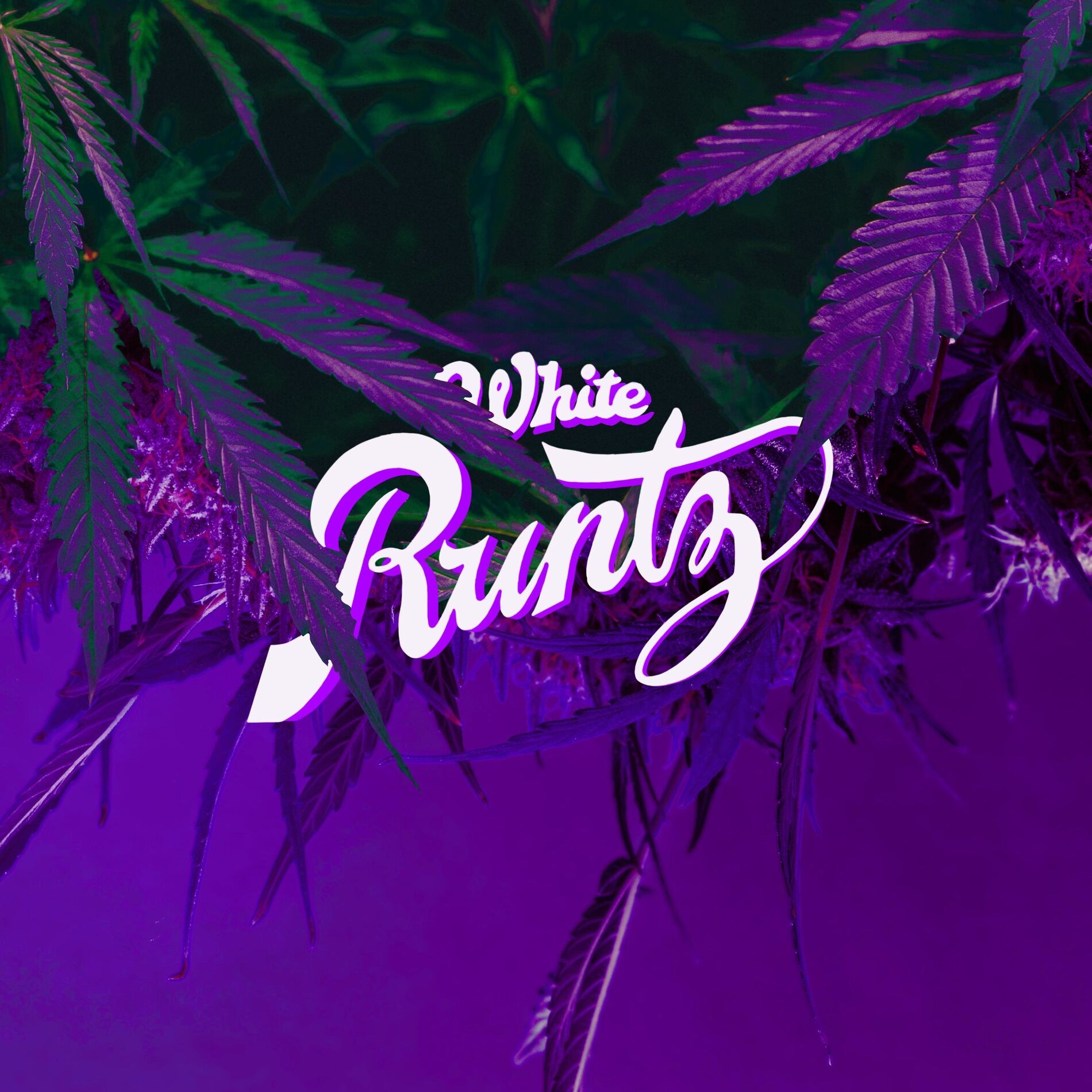 Album cover of White Runtz (feat. Lemon)