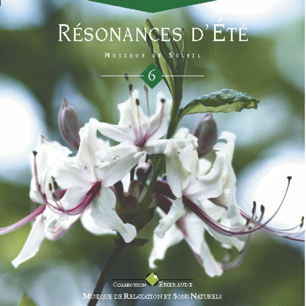 Picture of Emeraude: résonances d'été