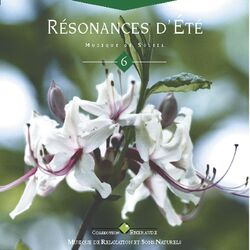 Cover of Emeraude: résonances d'été