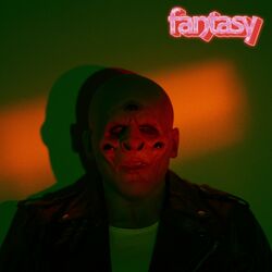 Cover of Fantasy
