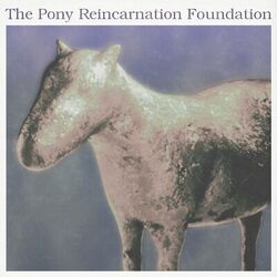 Cover of Me and My Pony