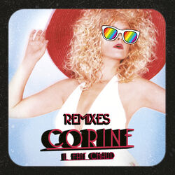 Cover of Il fait chaud remixes
