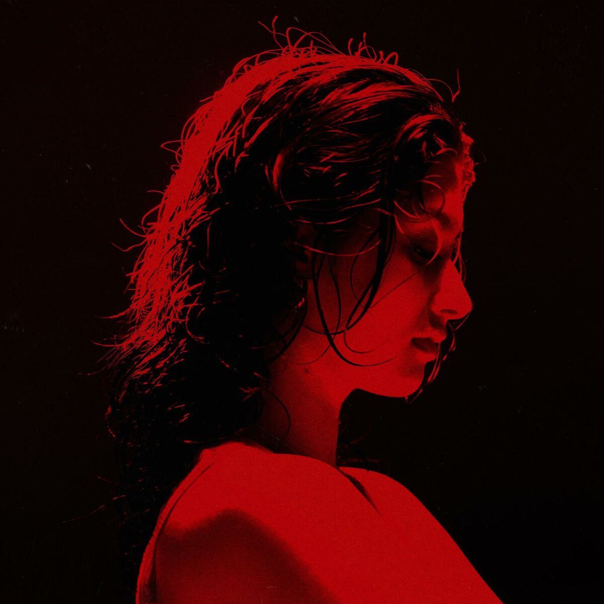 Album cover of Narcissistic
