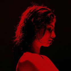 Cover of Narcissistic