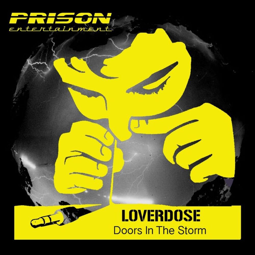 Picture of Doors In The Storm
