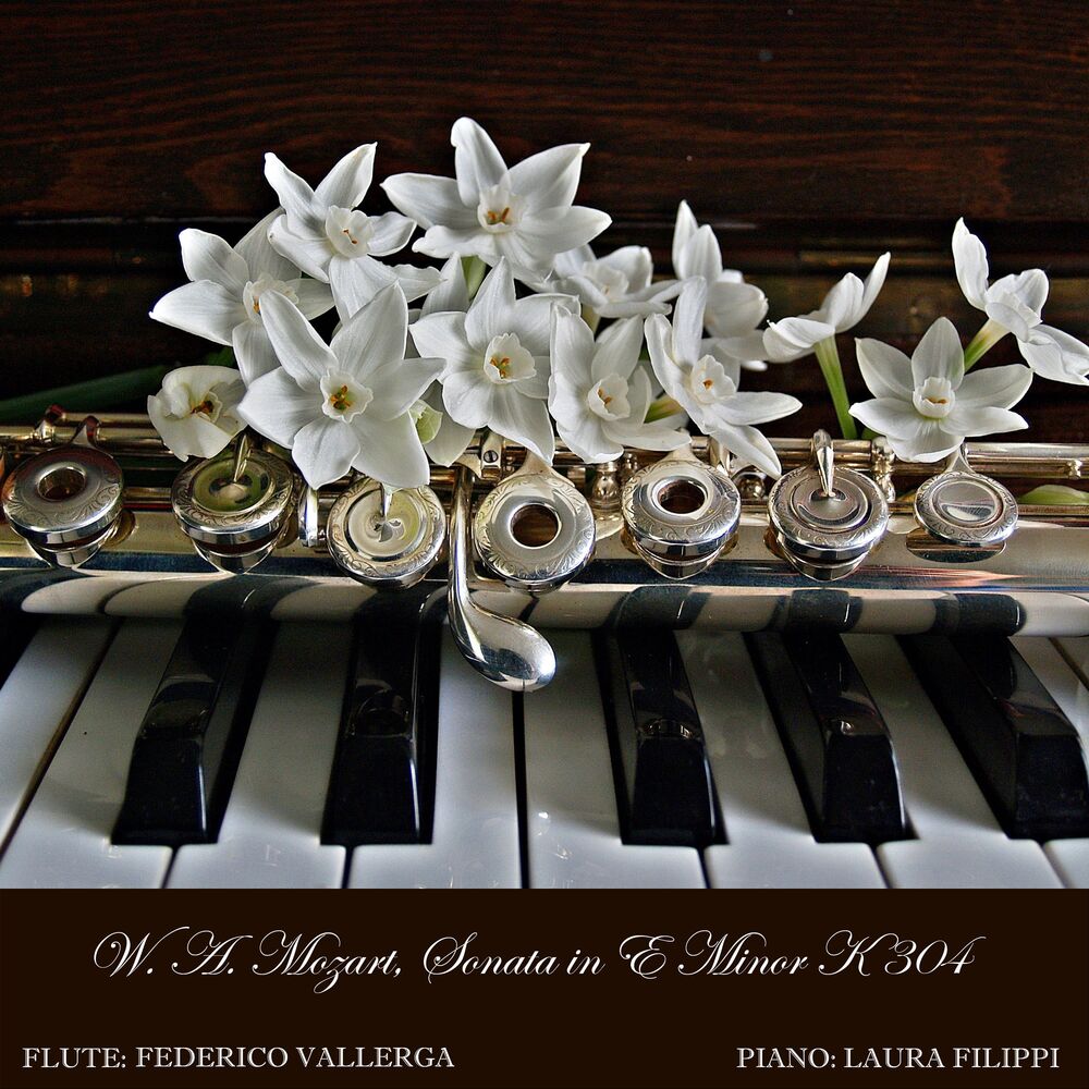Picture of W. A. Mozart: Sonata No. 21 in E Minor, K. 304