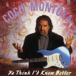 Cover of Ya Think I'd Know Better
