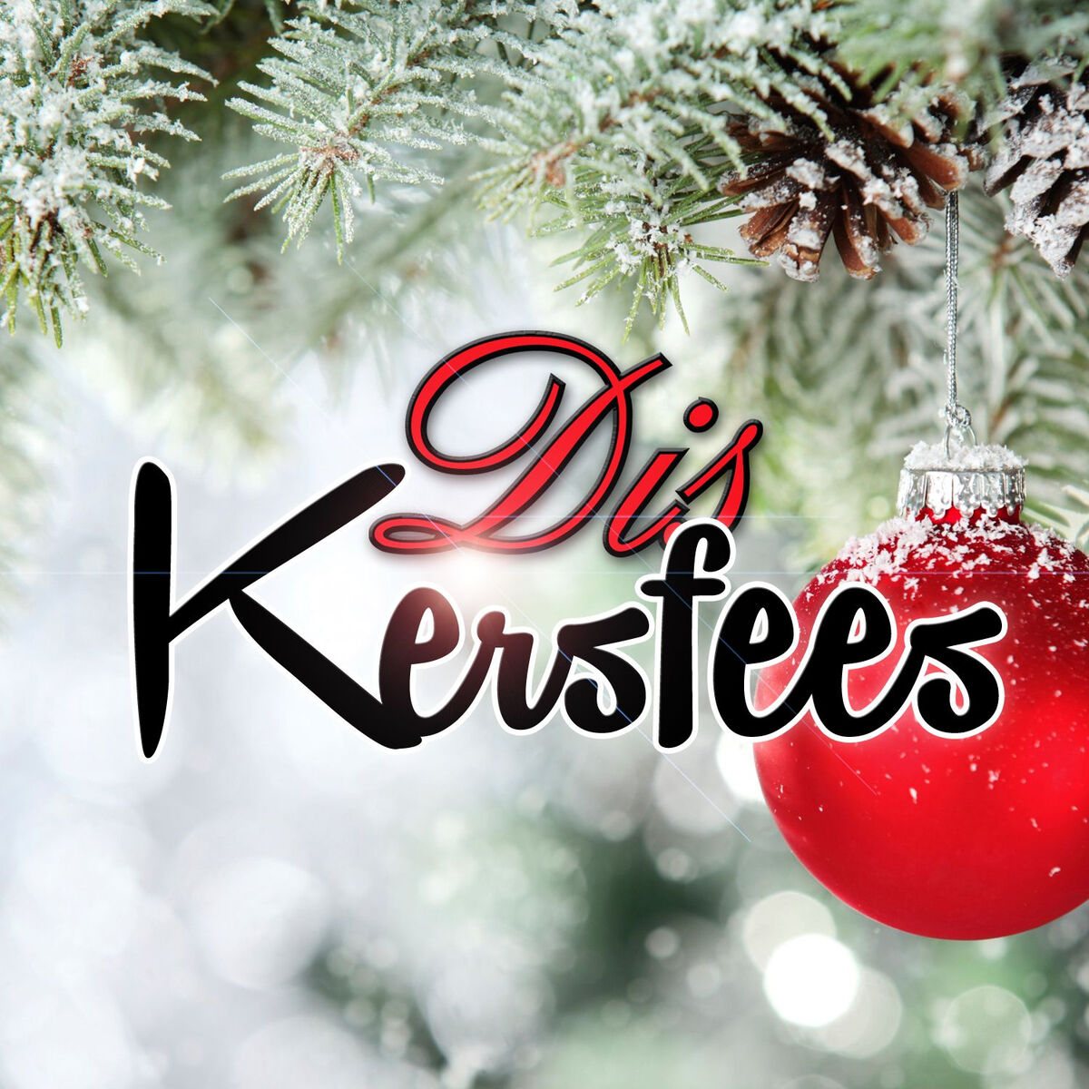 Album cover of Dis Kersfees