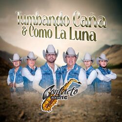 Cover of Tumbando Caña & Como la Luna