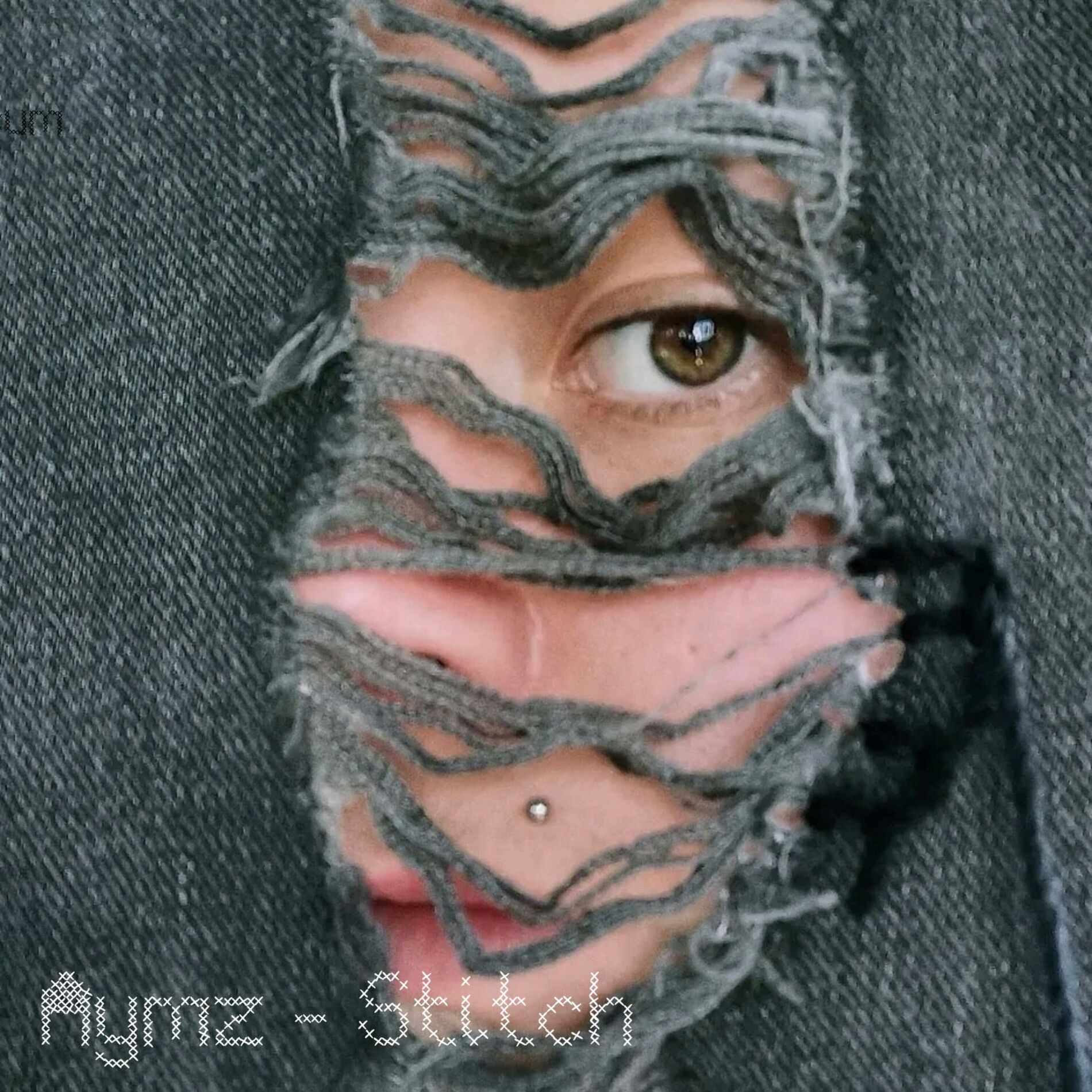 Album cover of Stitch