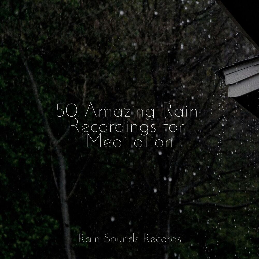 Picture of 50 Amazing Rain Recordings for Meditation