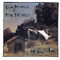 Mama Help Me (Album Version) by Edie Brickell & New Bohemians album cover